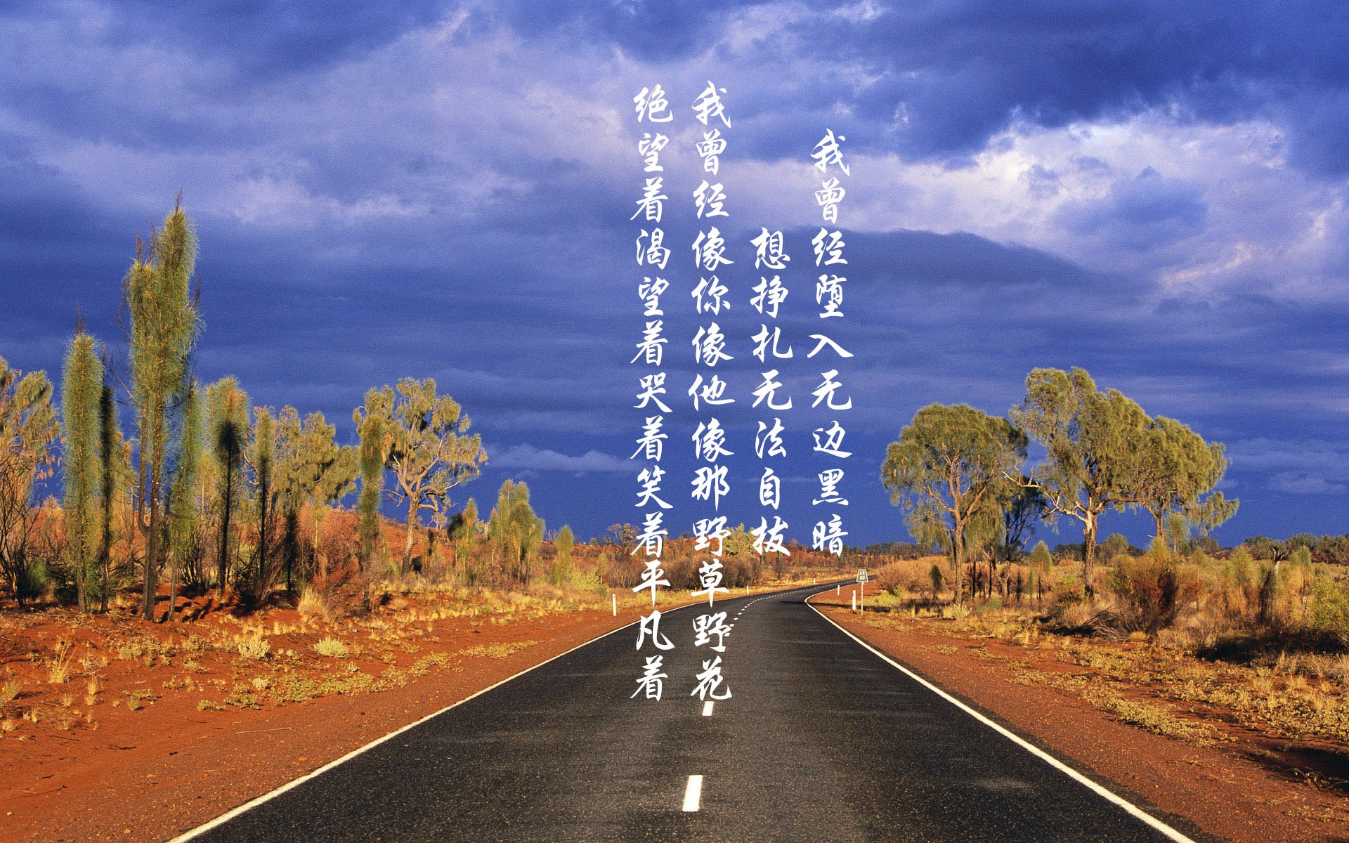 _水世界运动节：畅游、冲浪、潜水全体验_，世界水下运动联合会