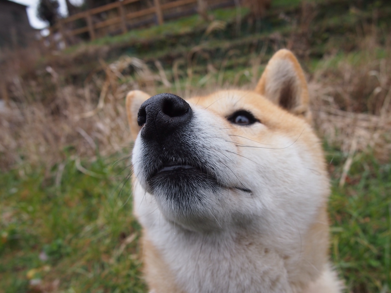 _运动员公益直播：带动全民健身热潮_，体育明星公益活动