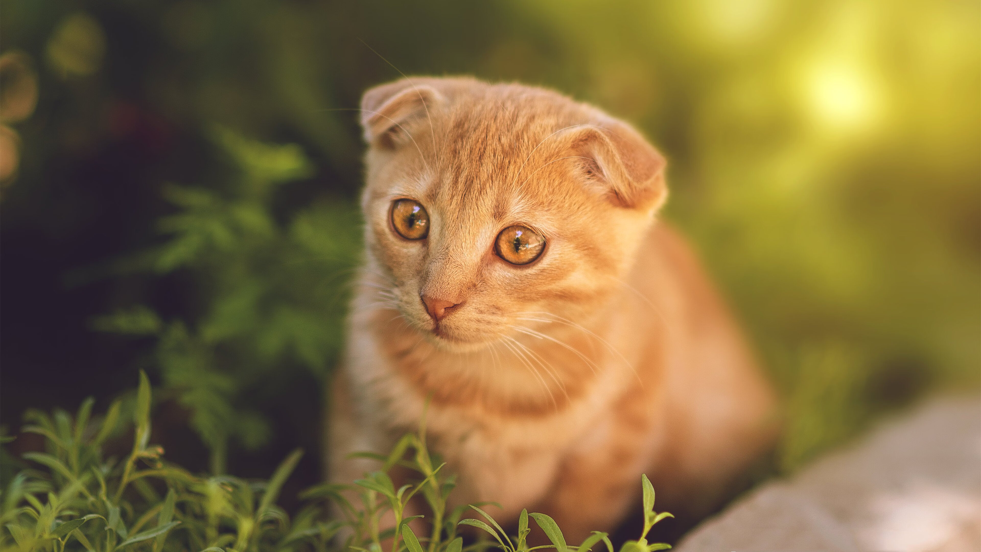 “青春同行”青少年青训合作项目在北京正式启动，推动区域合作战略