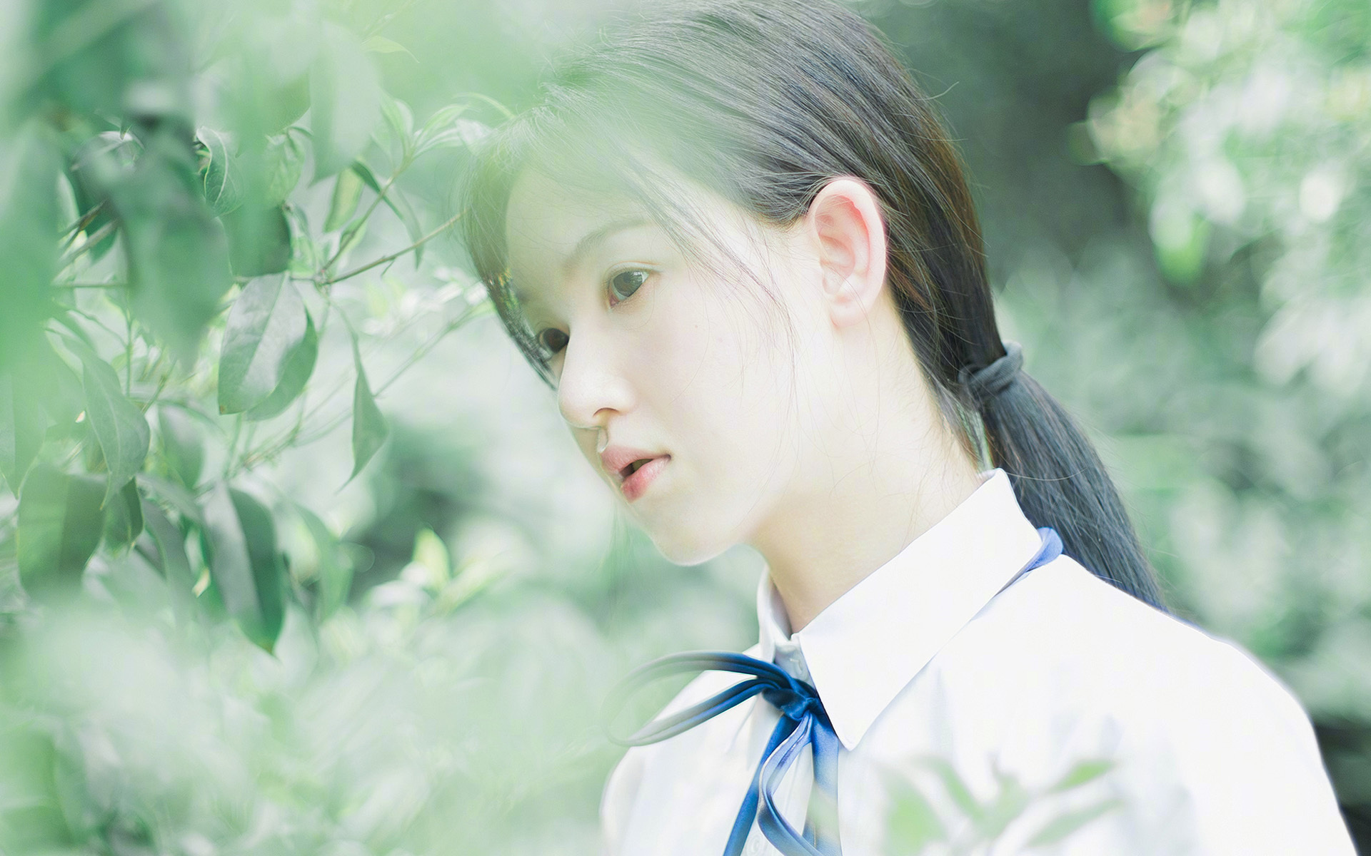 世界杯新球衣发布，科技与传统文化融合引话题，2022年世界杯官方球衣