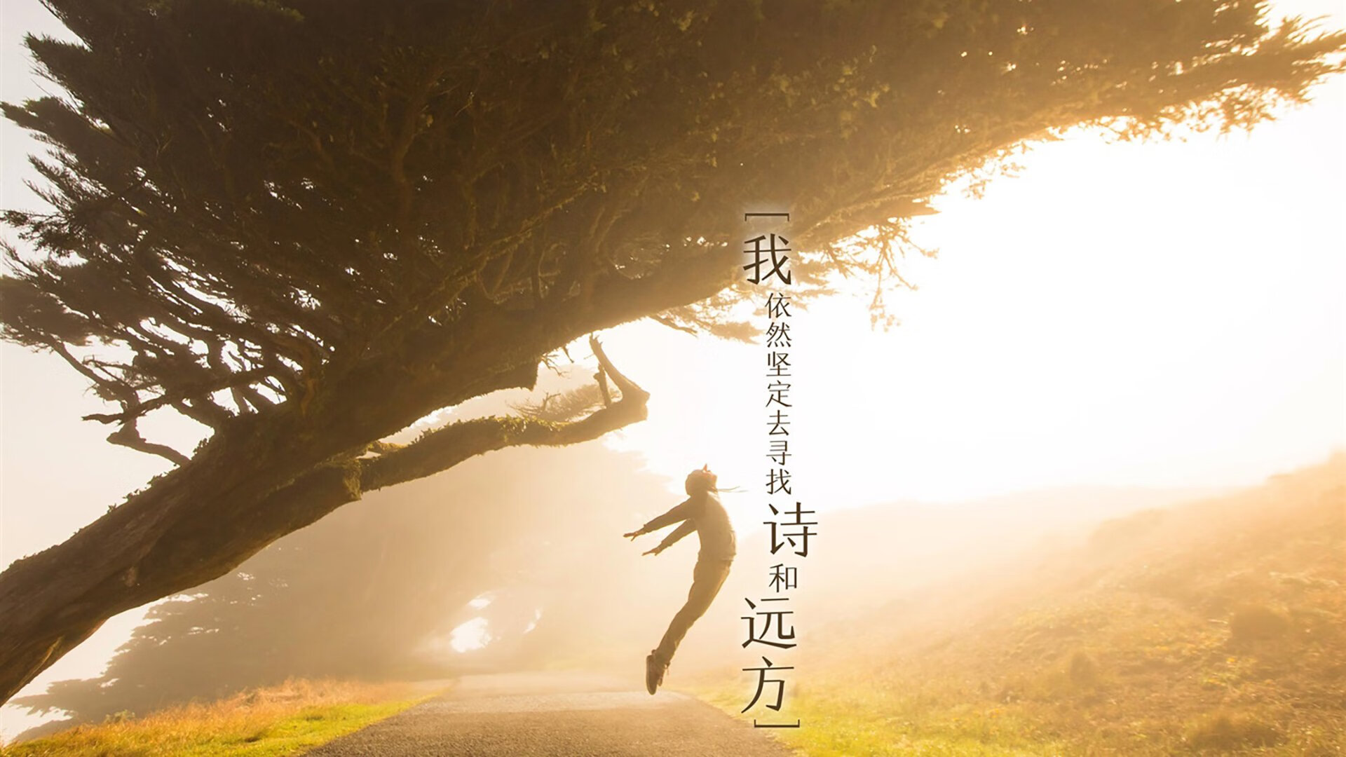 战术演变：教练如何根据比赛局势调整阵型？，比赛前教练在排兵布阵时的想法是