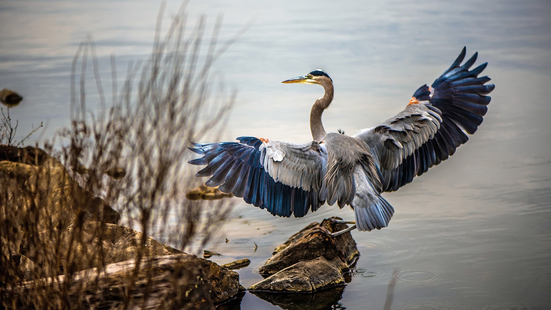 首批“足球+科技”创新项目在全国落地，开启行业新探索，足球创新创业项目