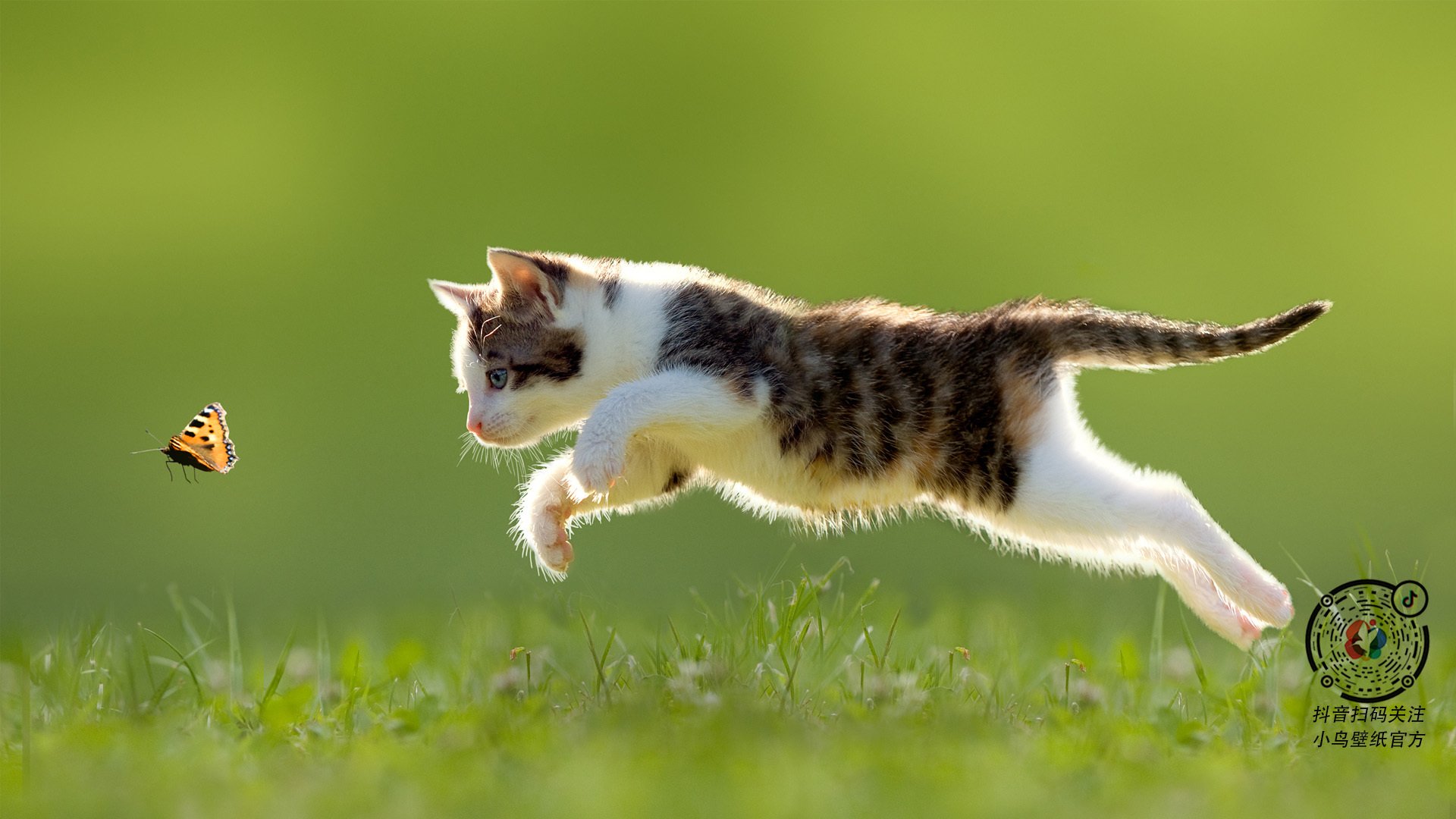 中国足球青训体系建设全面推进，中国足球青训体系现状