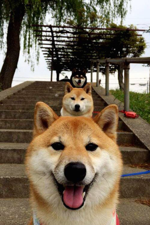 吉林主场迎战山西，双方将上演激烈对抗！，cba吉林打山西