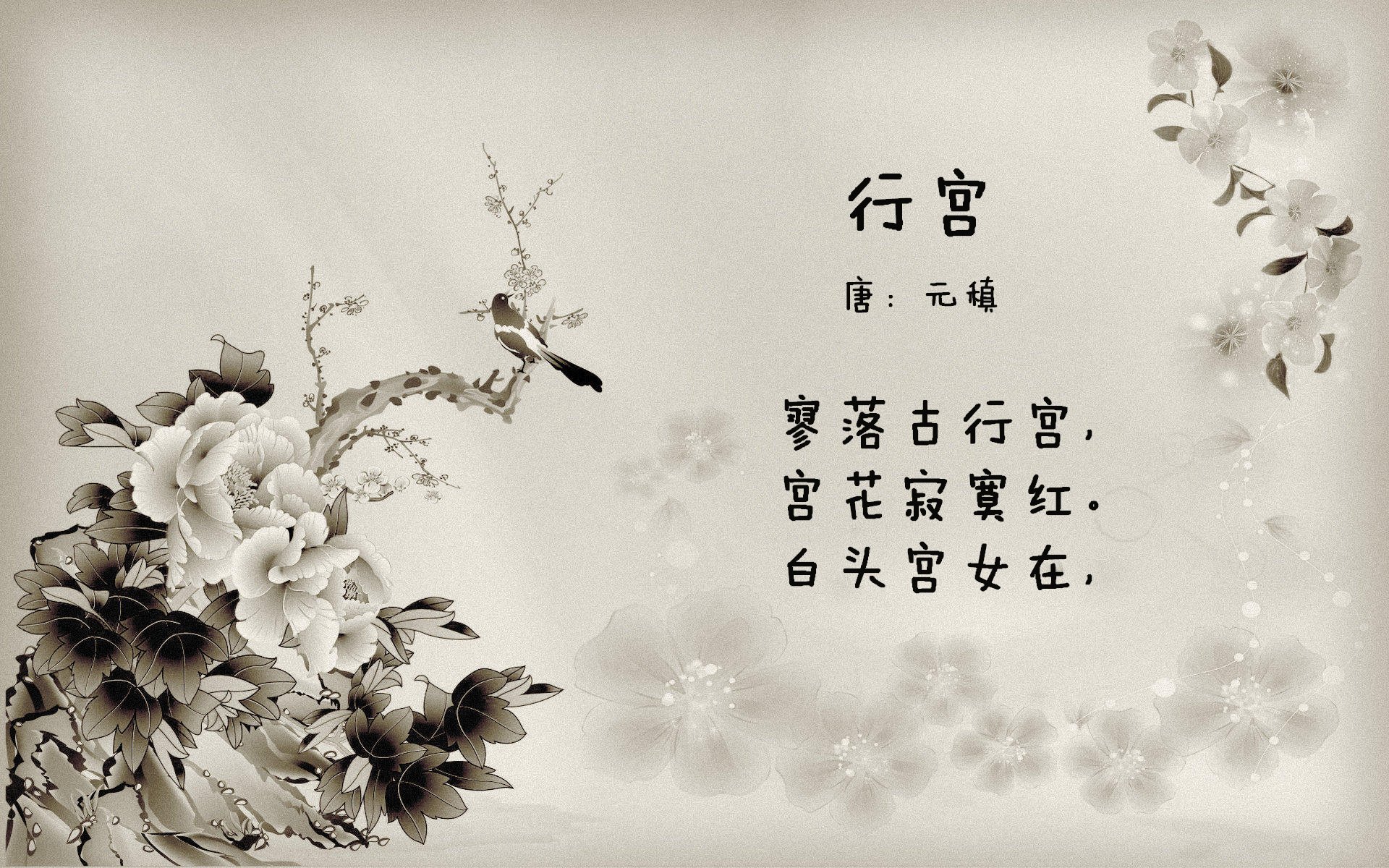 美国女足在巴黎奥运会比赛中表现出色，赢得金牌，美国女足奥运会大名单