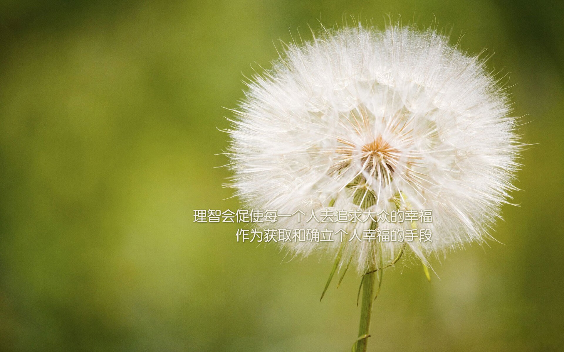 职业篮球联盟品牌建设，职业篮球协会