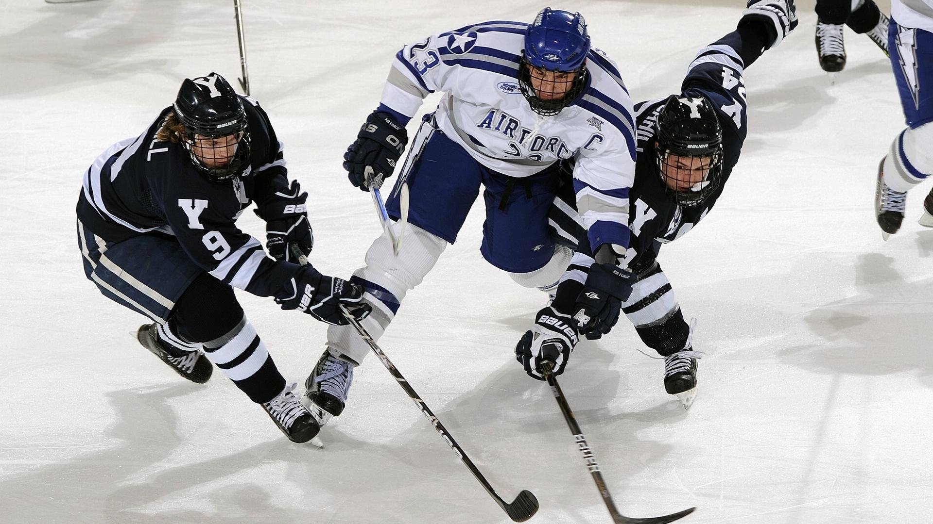 运动员训练科学管理体系,运动训练管理工作体系