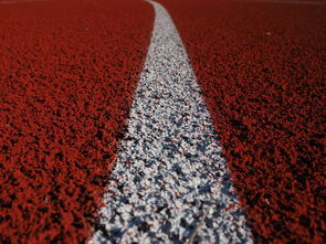 田径项目专项训练成效显著，田径专项体能训练