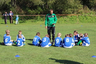 美国队在国际乒联混合团体世界杯中的出色表现与战术布局，美国队乒乓球选手