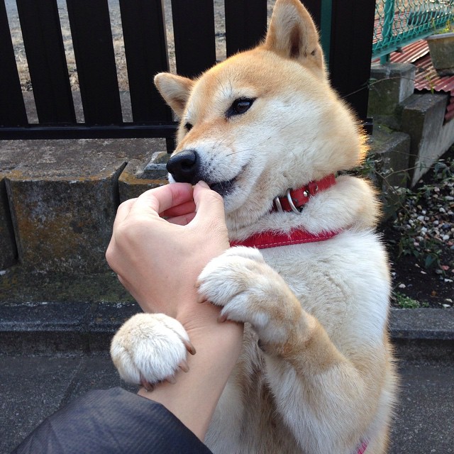 CBA联赛引入智能数据分析辅助战术制定，cba 分析