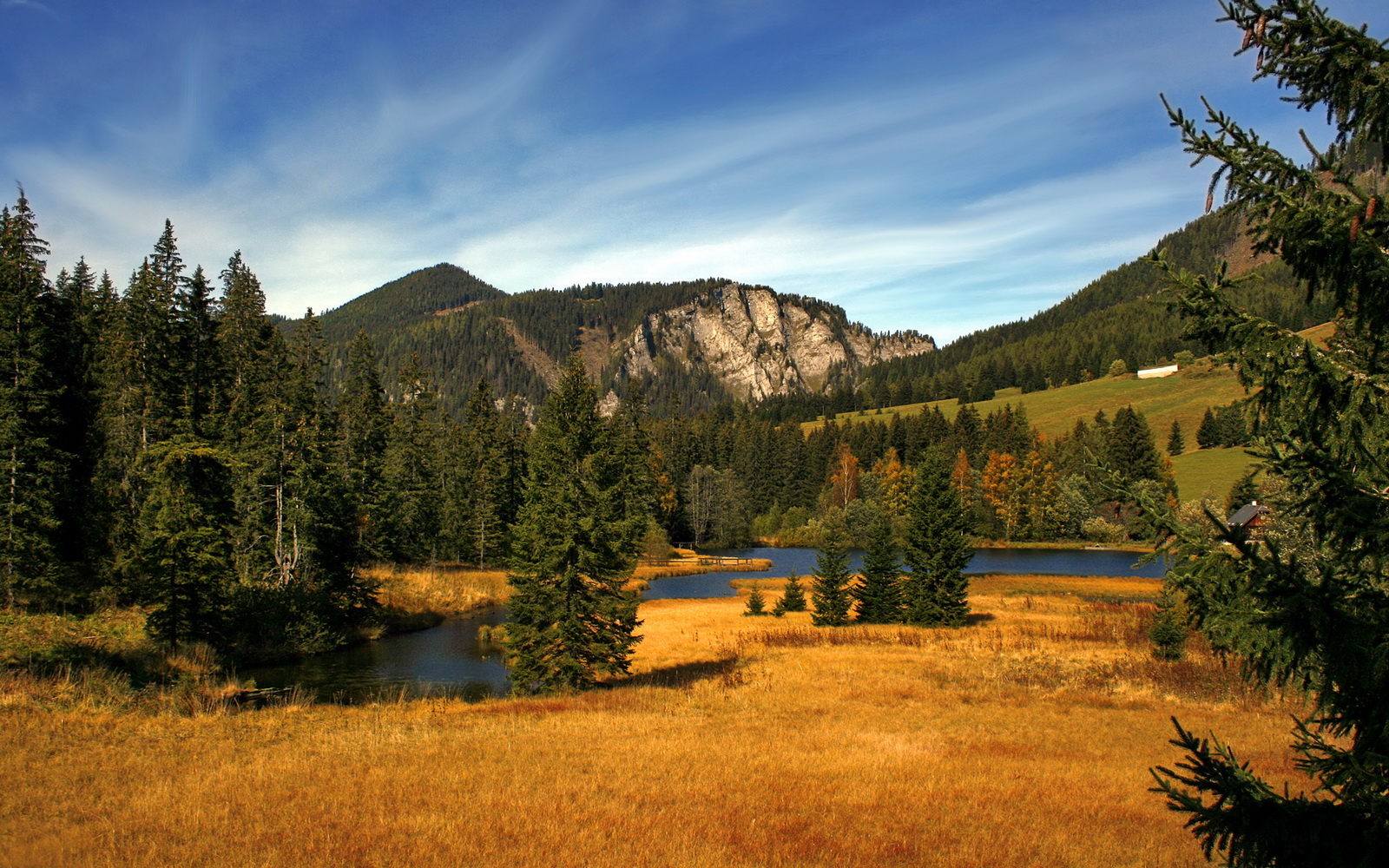 世界杯精彩瞬间：每一秒都令人激动万分，世界杯经典瞬间