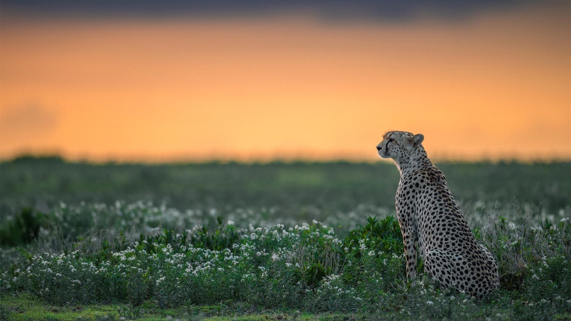 中超俱乐部纷纷打造青训学院探索长期发展路径,中超球队训练基地