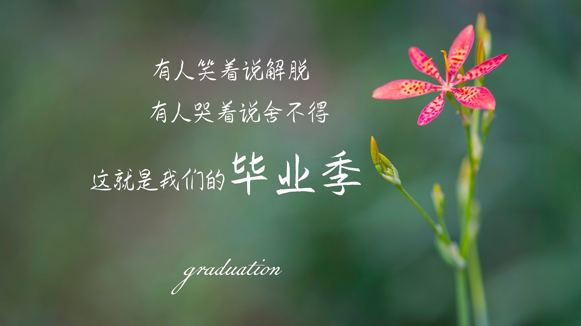 曼联中场组合成胜负关键所在,曼联中场阵容